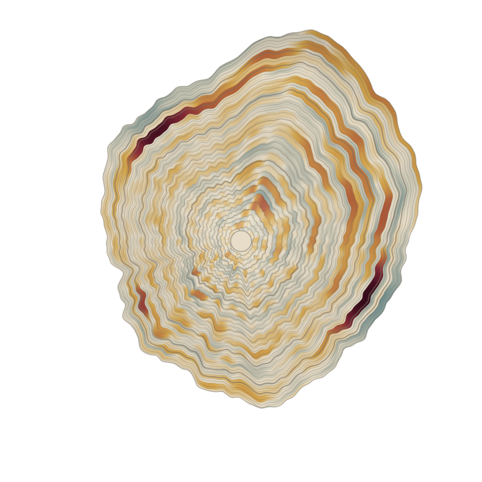 Concentric mortality rings visualising daily deaths in Belgium from 1992 to 2025.