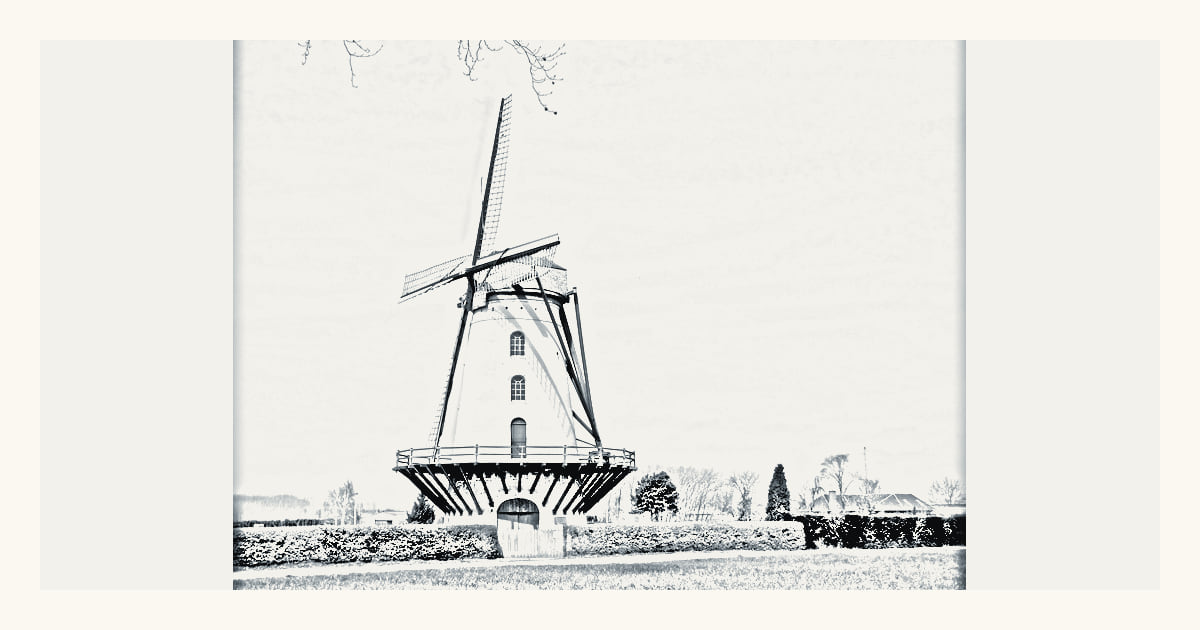 A documented local view of Lede