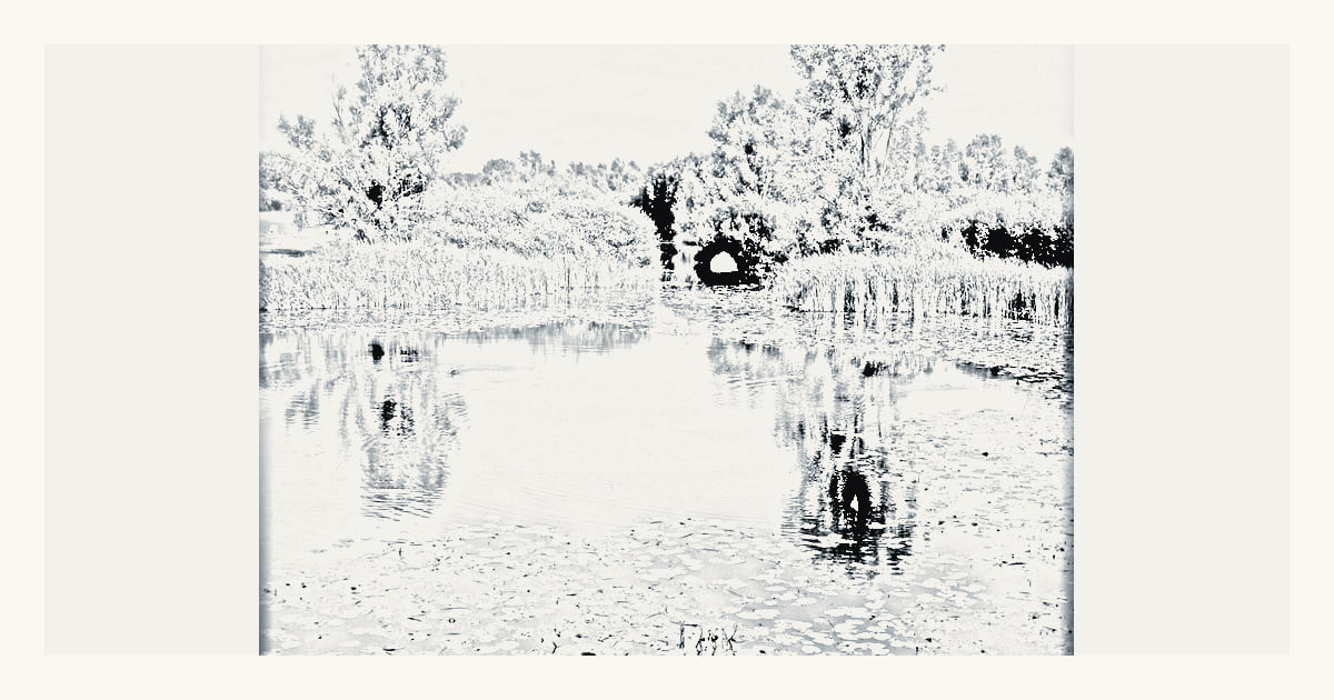 A documented local view of Sint-Gillis-Waas