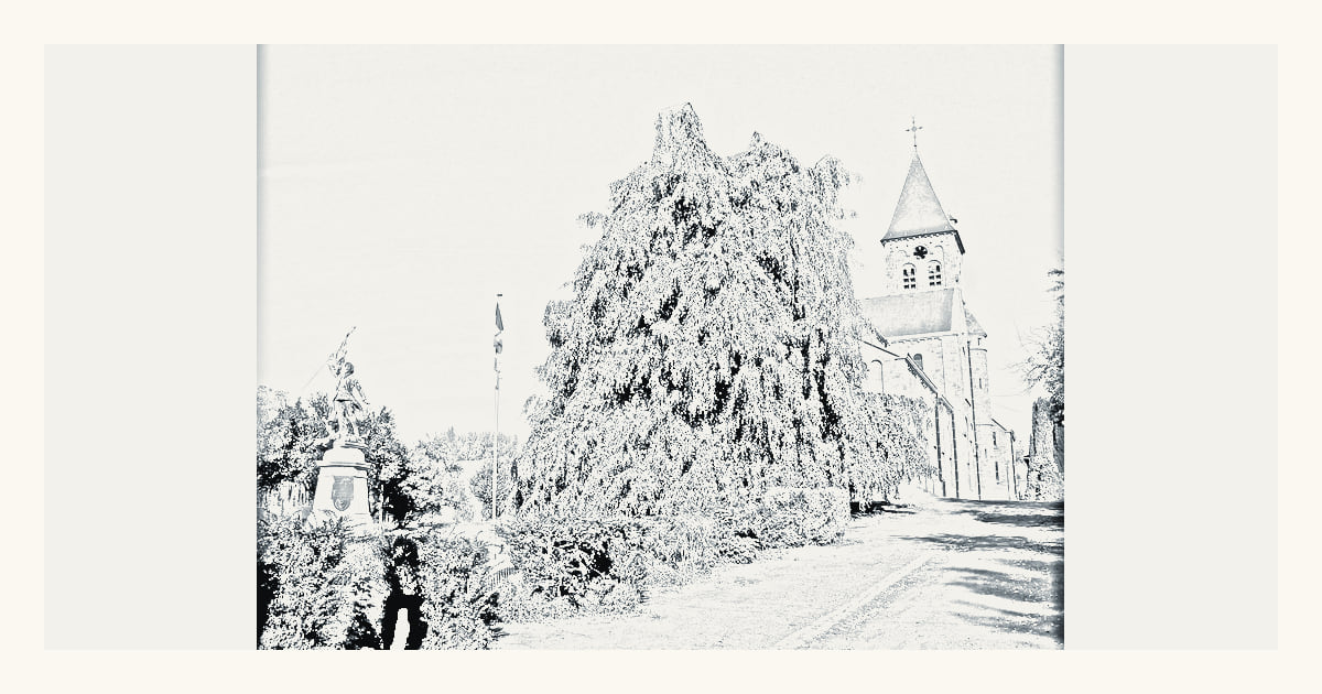 A documented local view of Braives